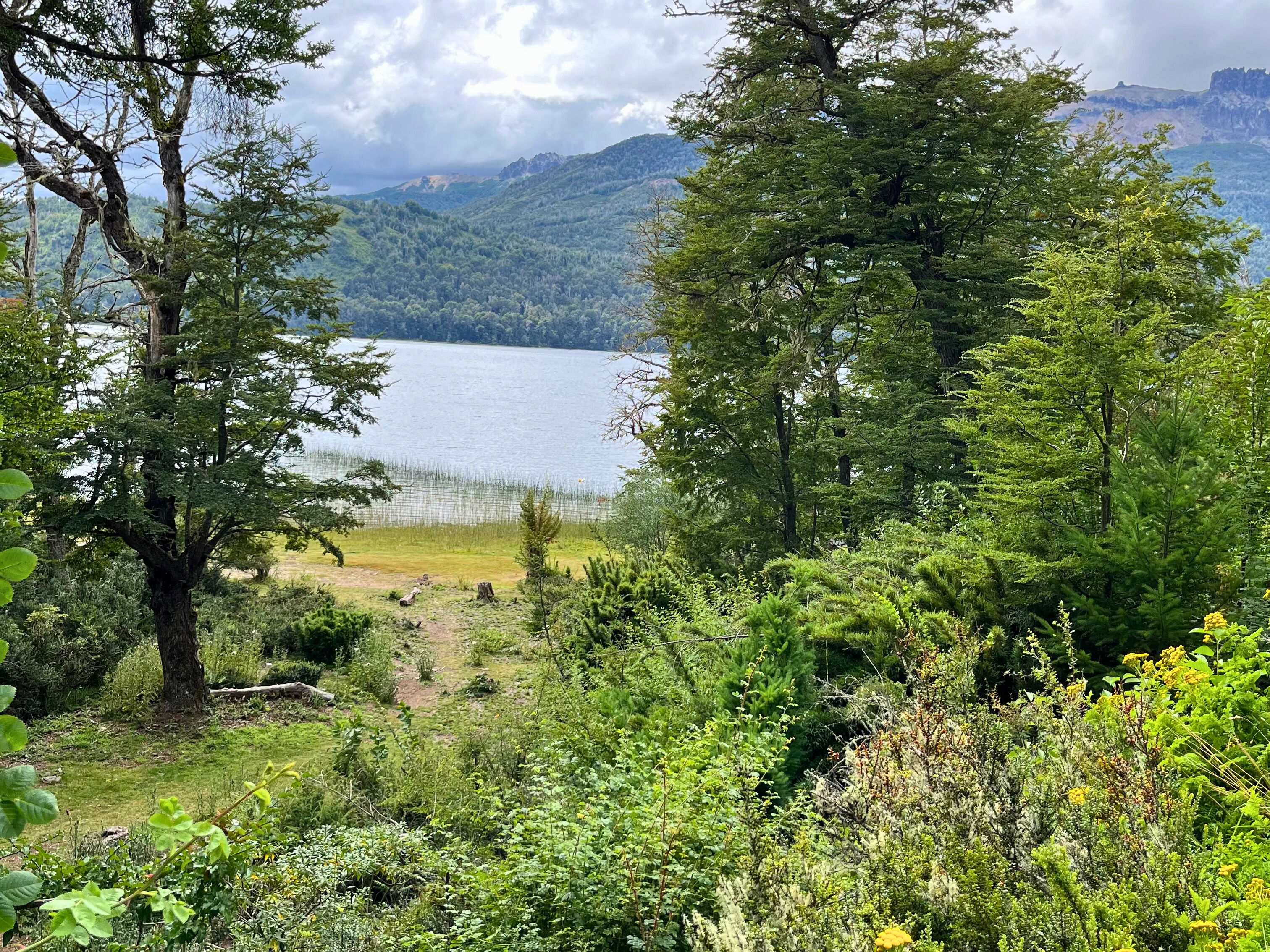 Lago Falkner — orillas y veriles